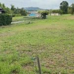 南河内郡河南町大字中売土地